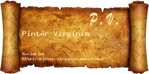 Pintér Virgínia névjegykártya